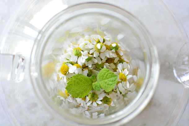 chamomile-flowers-and-mint